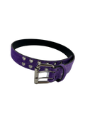 Purple Shorthair Belt